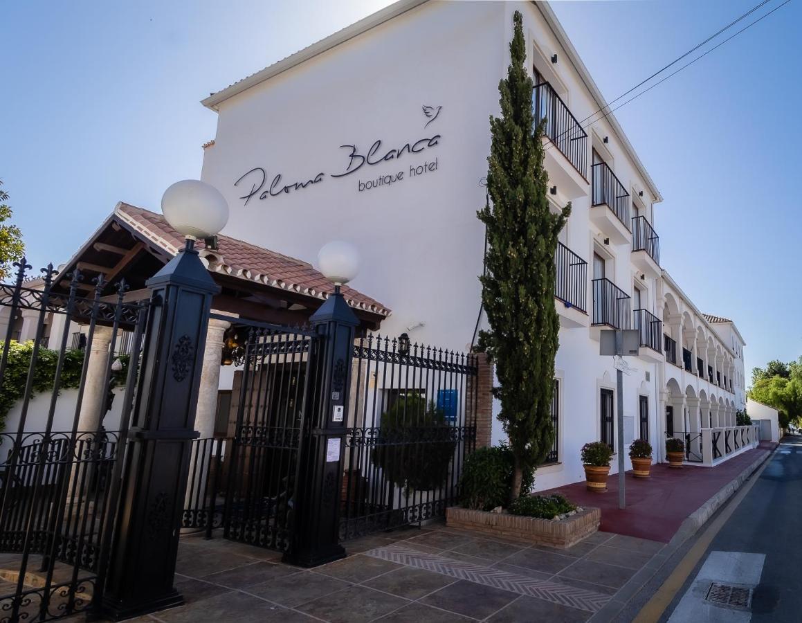 Paloma Blanca Boutique Hotel (Adults Only) Marbella Exterior photo